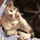 ���� ������, �����, 53 ���� - ��������� 27 ������ 2020 � ������ ���� ����������