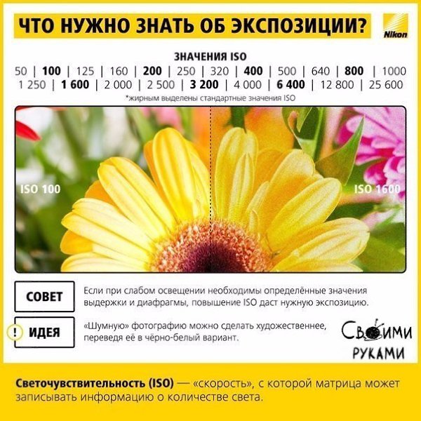 Учимся фотографировать: работа с экспозицией - 6