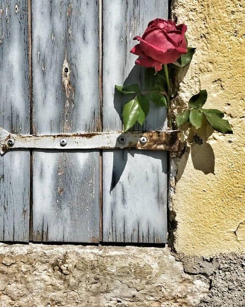 ,    :     .   ?    ...