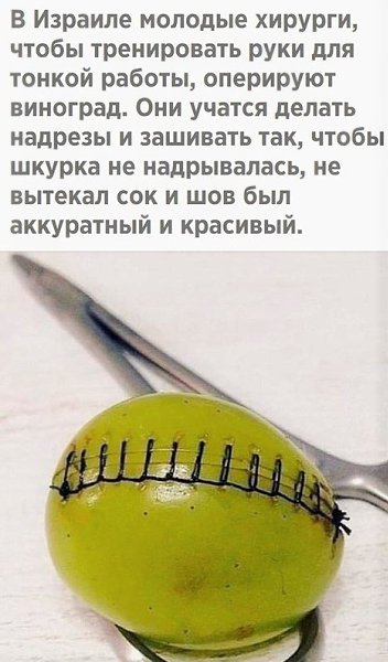 TECHNOLOGY -   - 15  2020  19:07