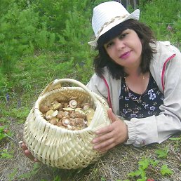 ����, ���������, 55 ���