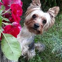 ���� �������, ������ - ��������� 26 ���� 2020 � ������ ���� ����������