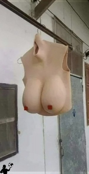 a cp    ao  e ocopo!    - 2