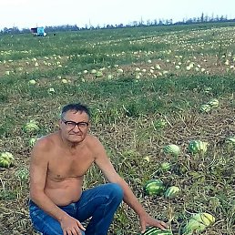 ���� ����, ������������, 52 ���� - ��������� 25 ��� 2020