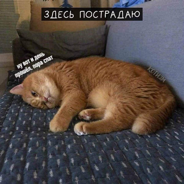      : - 6
