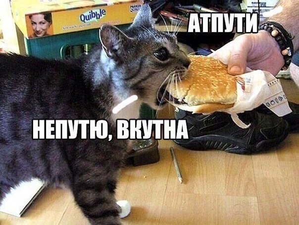    - 13  2020  20:53