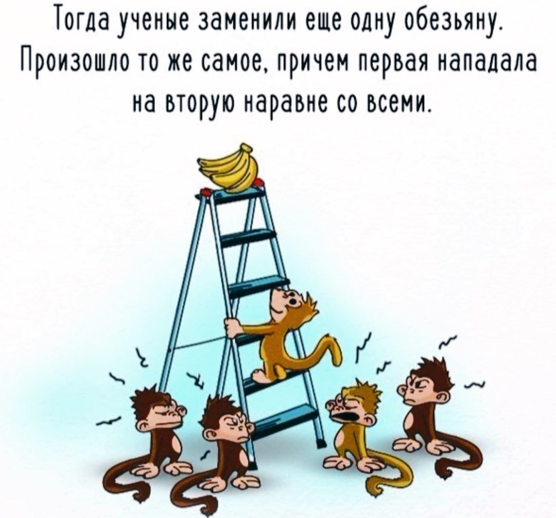   ,    .  ,   , ,  ... - 7
