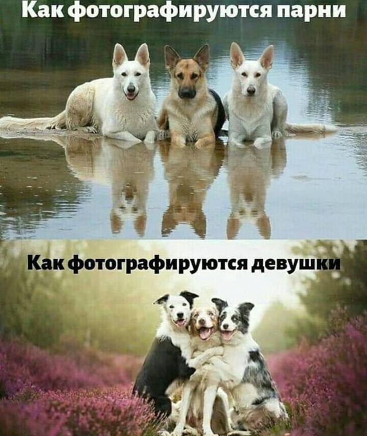   ! - 29  2020  09:33