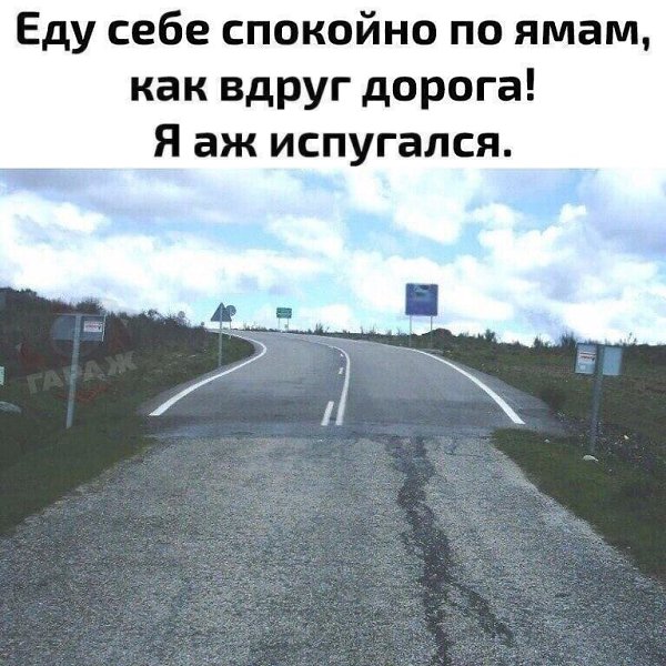   ))