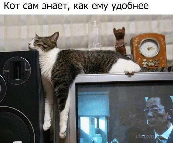 ������� - 10 ������ 2020 � 19:13