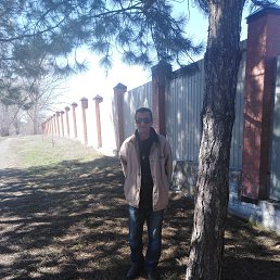 ������, ������-��-����, 55 ���