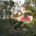 ���� �����, �������, 52 ���� - ��������� 21 ������� 2020 � ������ ������ ��������