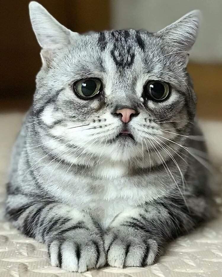      ,         ...  ... - 2