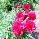  ,  -  19  2020    ))))