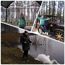 ���� ������, �������, 62 ���� - ��������� 5 ������ 2020 � ������ ���� ����������