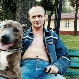 ������, ����, 41 ���