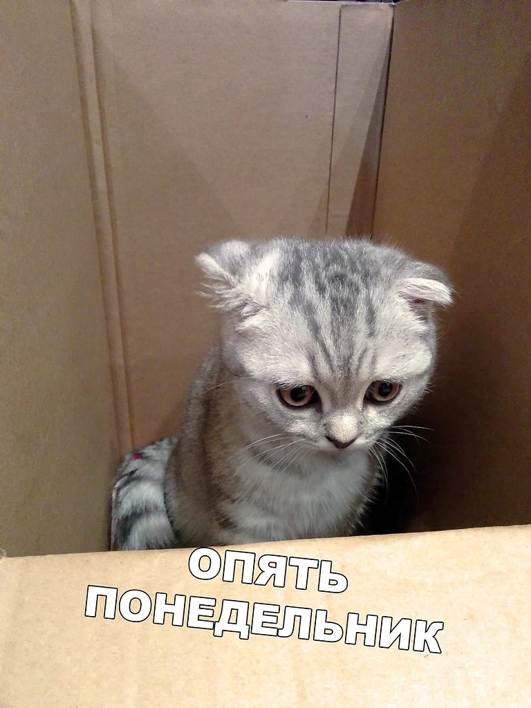  -   ,           ...