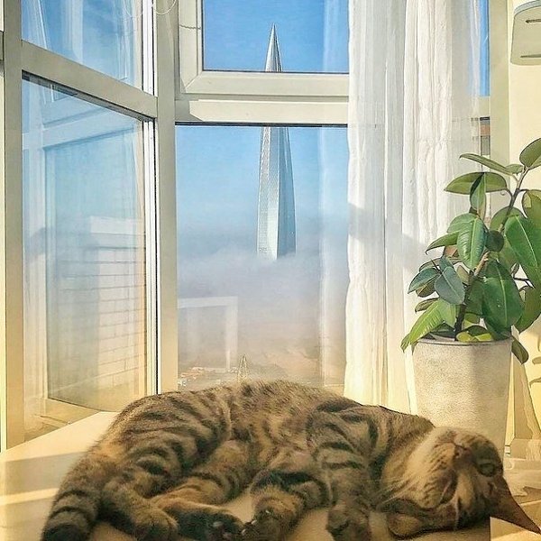 � � ��� ���o� ��� �� o���?