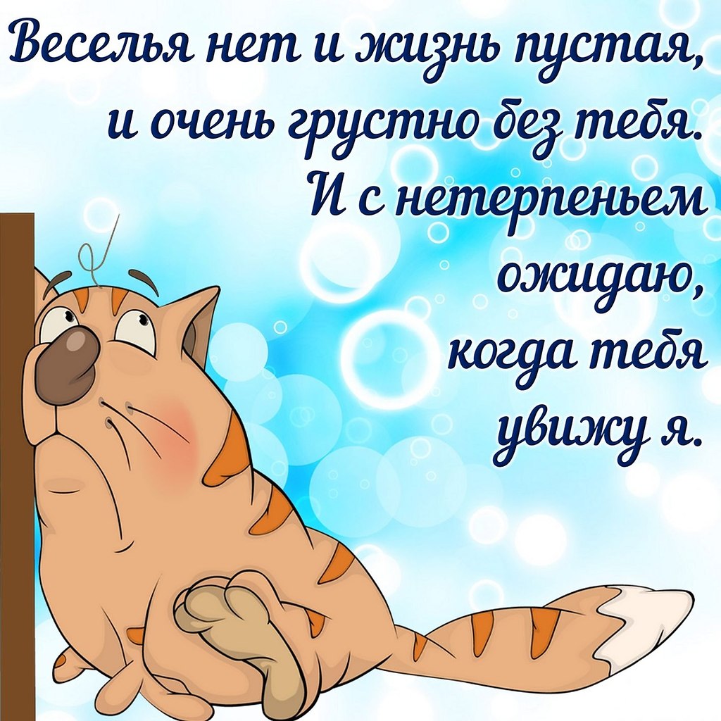 ПРИВЕТСТВИЯ и ПОЖЕЛАНИЯ, открытки на каждый день. опубликовал пост от 10  января 2020 в 20:40 | Фотострана | Пост №2087840868