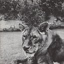 ���� ����, ����, 42 ���� - ��������� 15 ������ 2020 � ������ ���� ����������