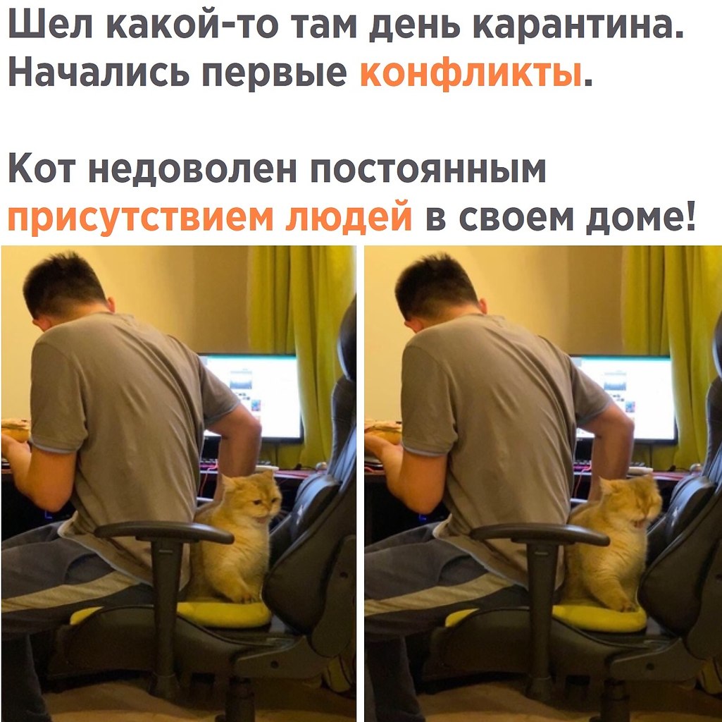            .         ...