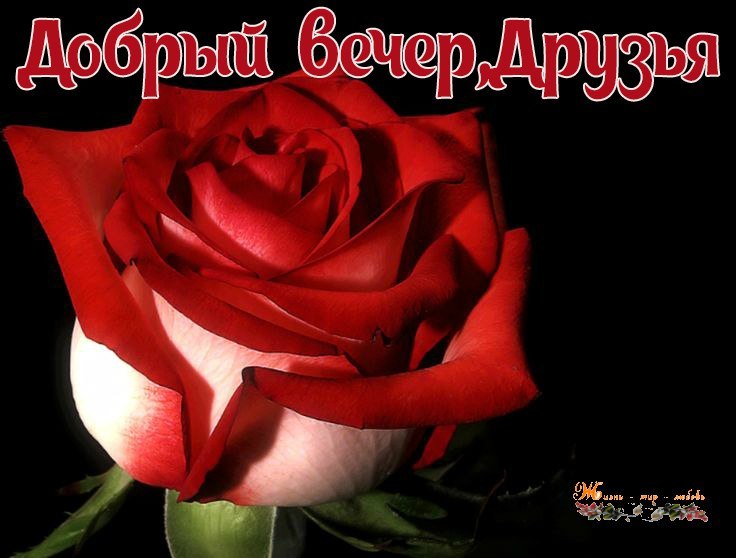   ,    . - 11  2020  16:23