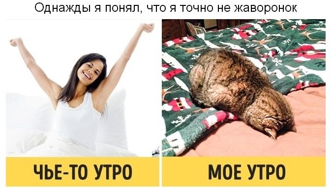 10   ,     .