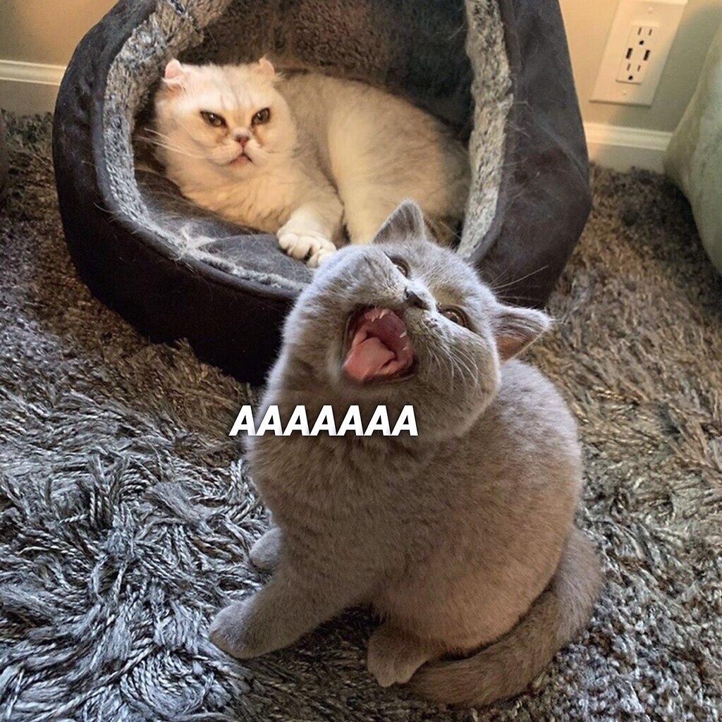 -  ? - . -     ? -   