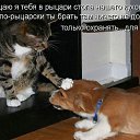 ���� Andrey, ������ ��������, 63 ���� - ��������� 16 ������ 2020 � ������ �������