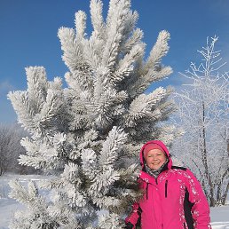 ����, ������