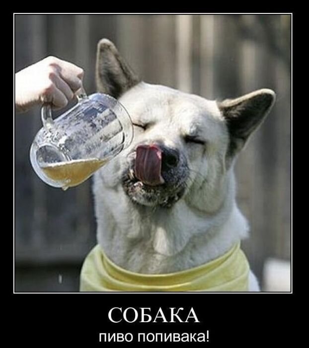 ������ - 30 ���� 2020 � 18:36