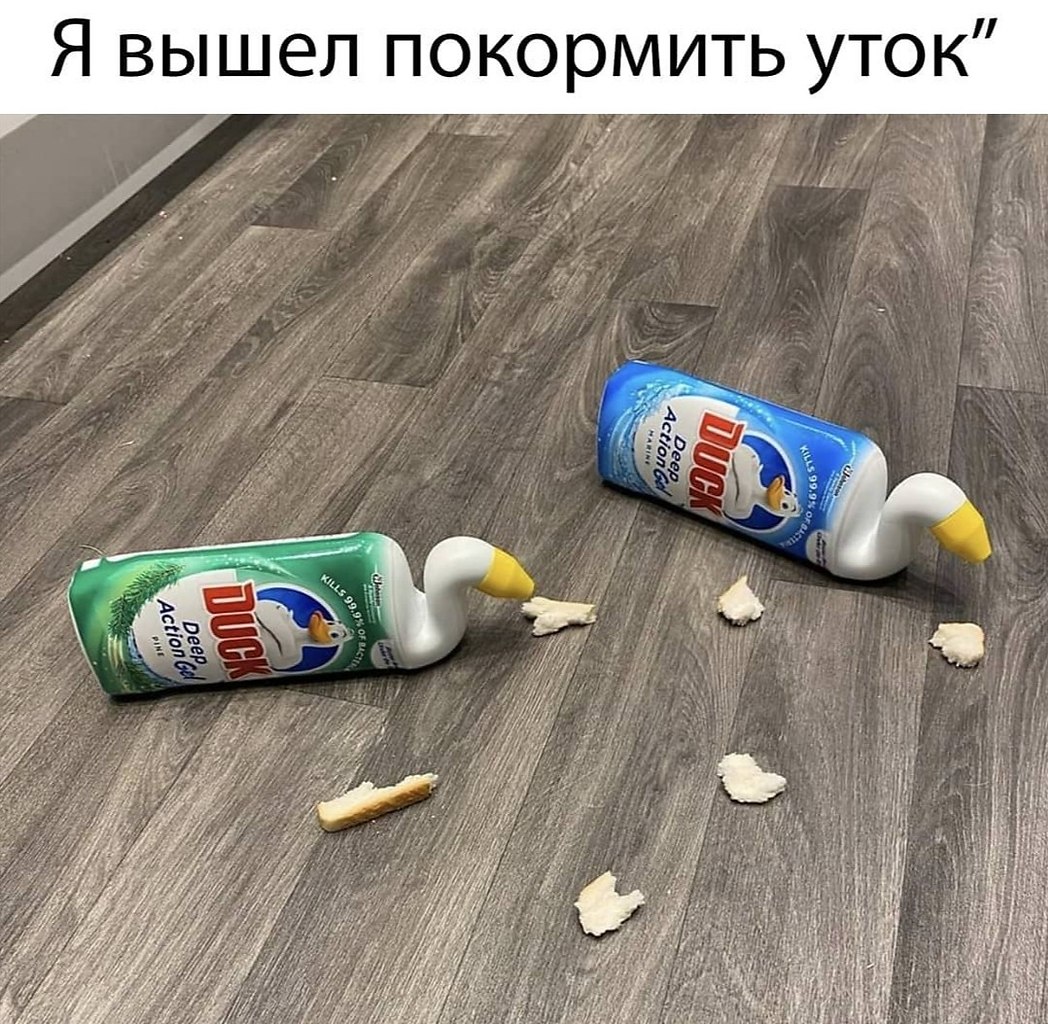 ظ 65  .    .  ,   ...