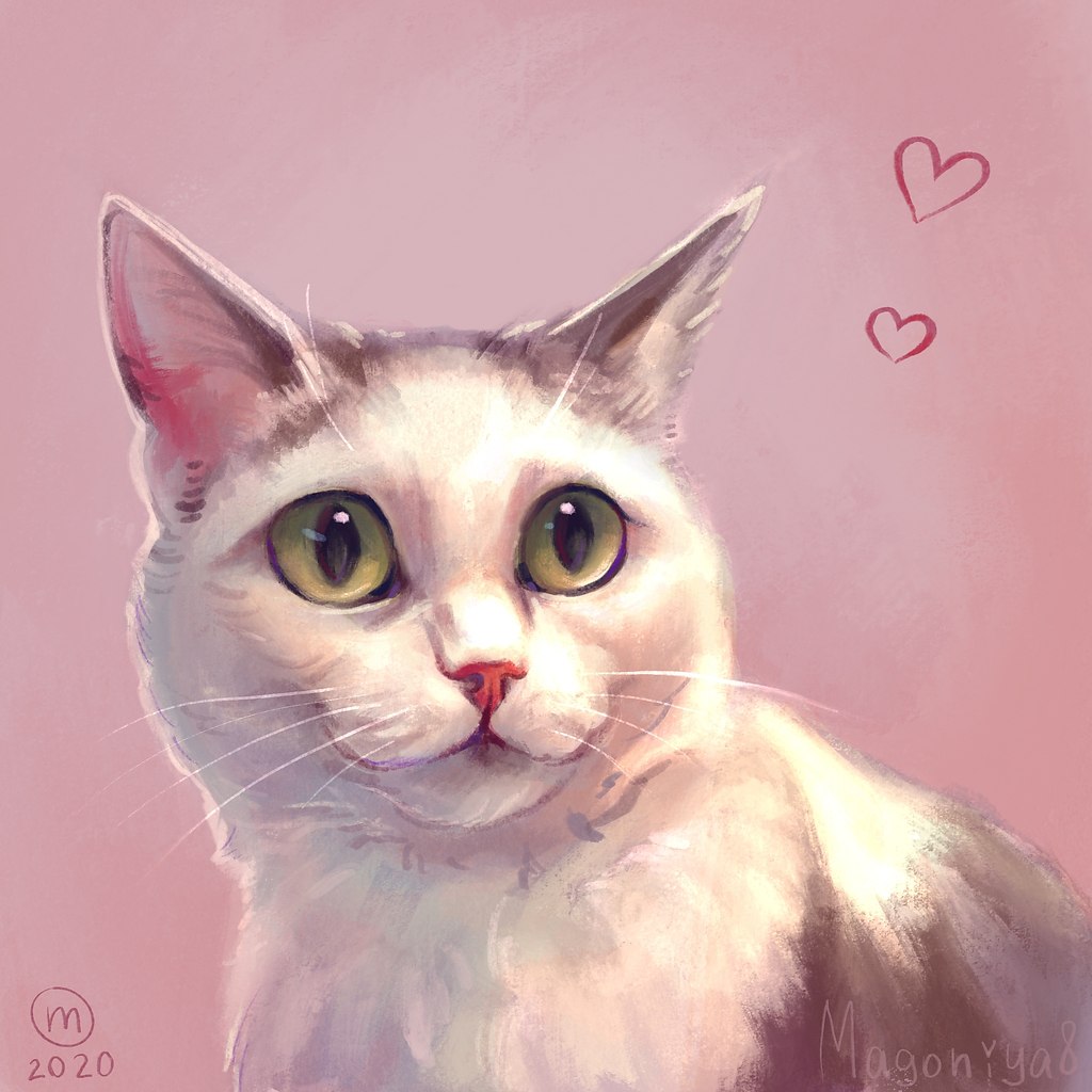     :3