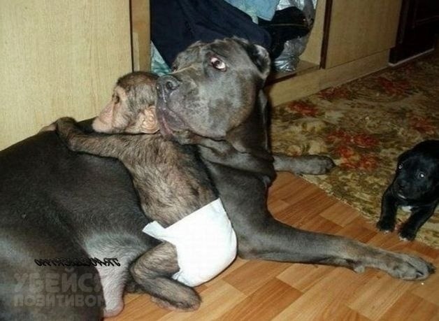 Hy p���� ����o ��� �������� �����a� �a��? =))