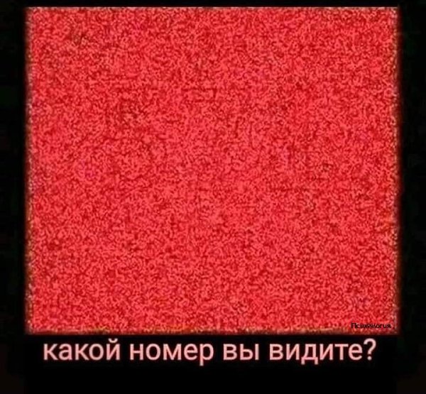 Много людей видят совершенно разные цифры на этом фото.. А какие видите вы?