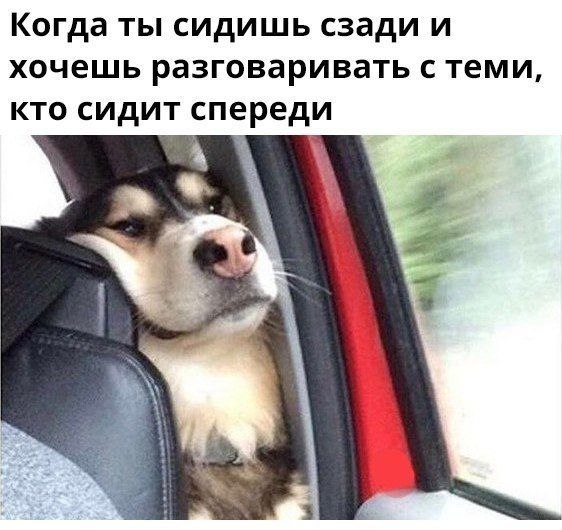 ������� - 3 ����� 2020 � 18:40