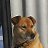 ���� ����, �������, 55 ��� - ��������� 1 ������� 2020