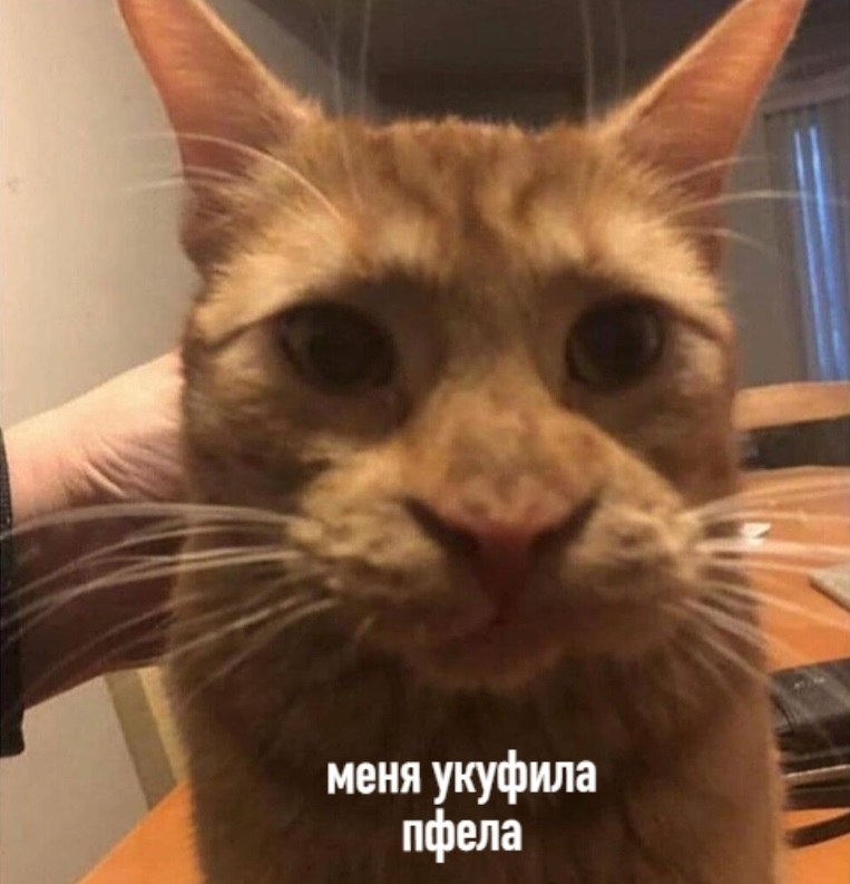   . .