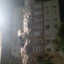 ���� ��������, ���� - ��������� 6 ���� 2020 � ������ ���� ����������