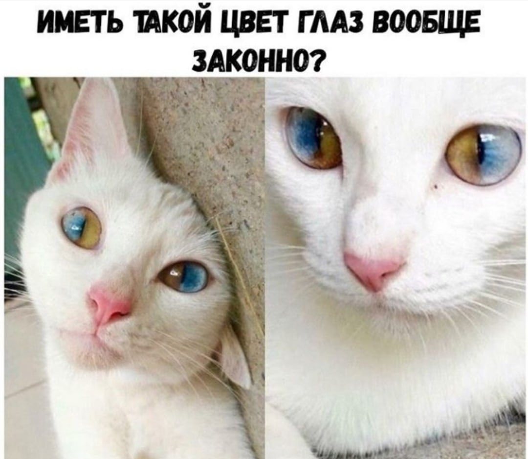 LIFE -  - 4  2020  19:04