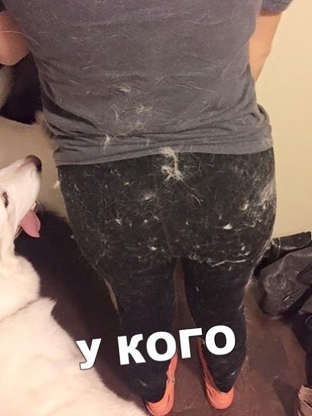 Жиза Это ж любимый кот старается, чтоб мне теплее было - 4