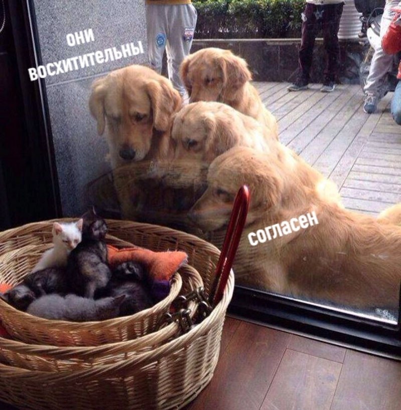      - 3