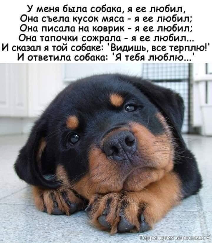 Настоящая любовь..