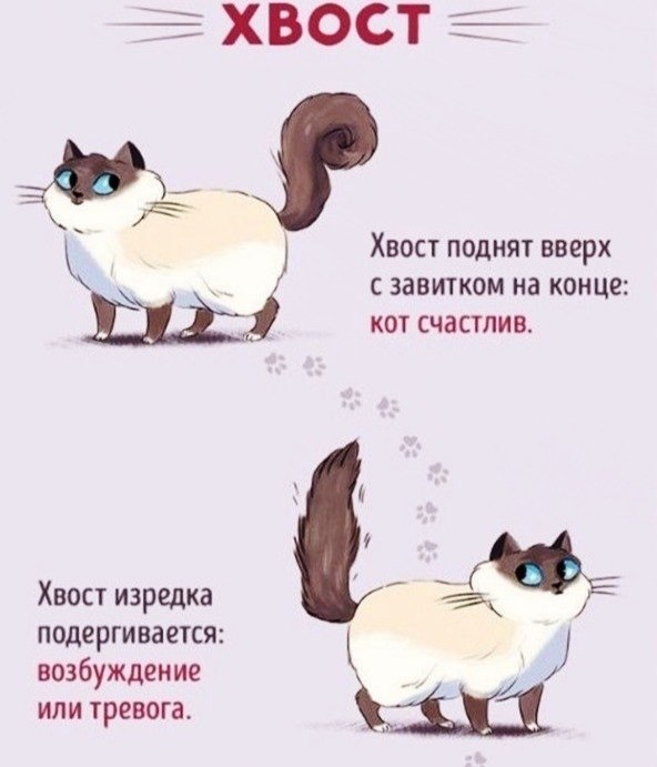    :   -  - 2