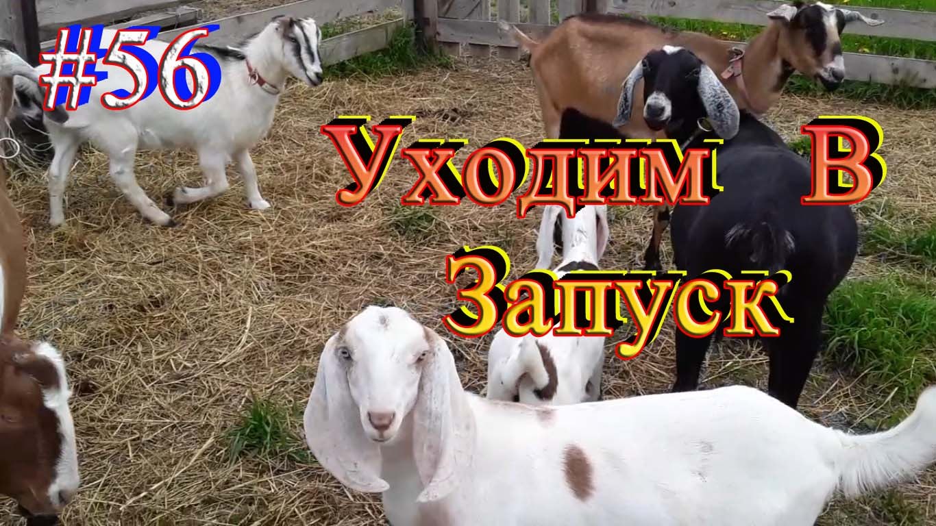 https://fotostrana.ru/away?to=/sl/Jz65