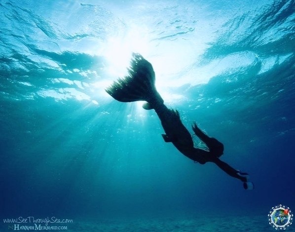  peep pe p  pe Ce.    p e? - 7