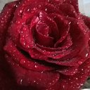 ���� ����, ���������, 50 ��� - ��������� 18 ������ 2020 � ������ ���� ����������