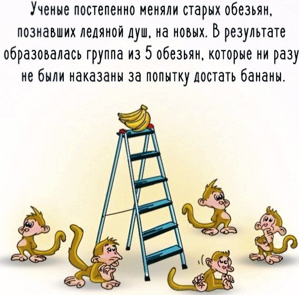 Эксперимент с обезьянами, бананами и ледяной водой. Точно неизвестно, проводился ли он, однако, в ... - 8