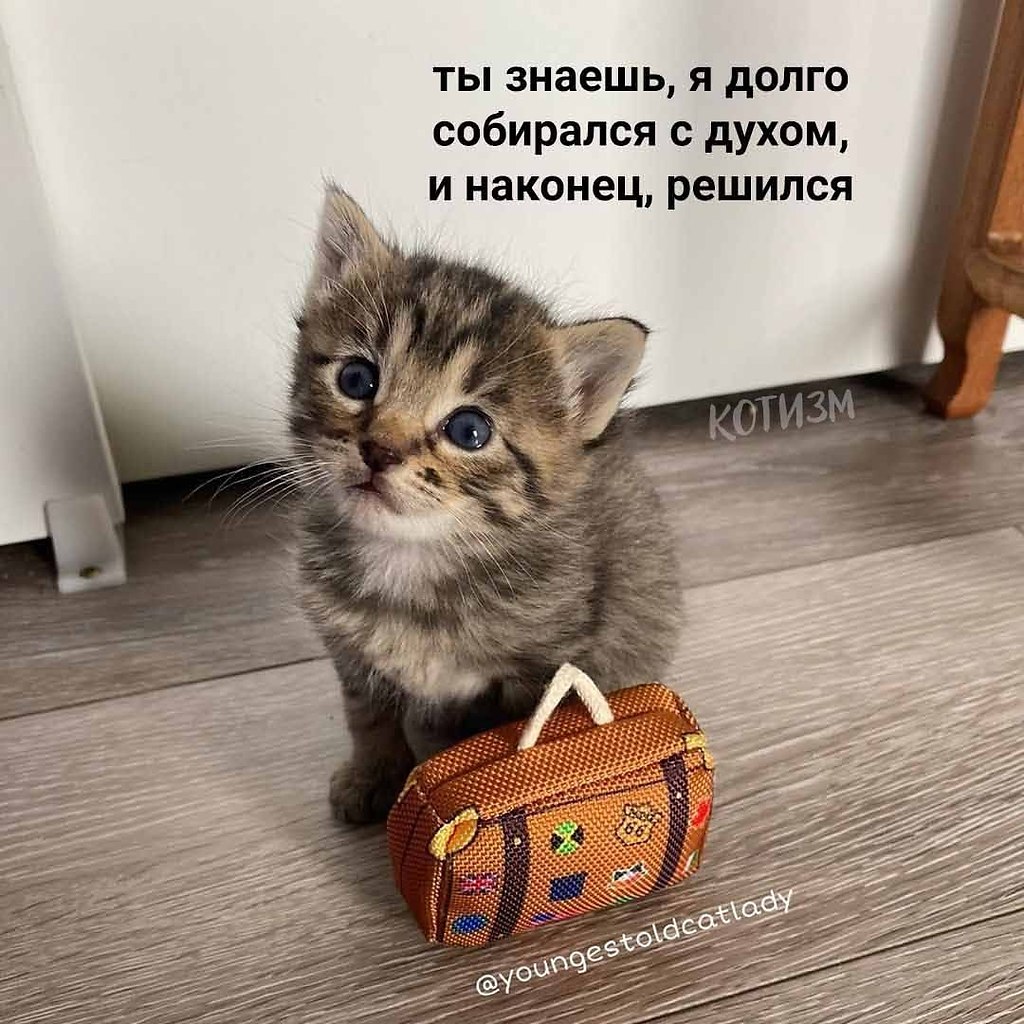   -    