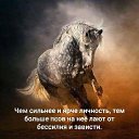 ���� ������, ������, 49 ��� - ��������� 4 ����� 2020